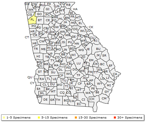 The range of Quercus imbricaria